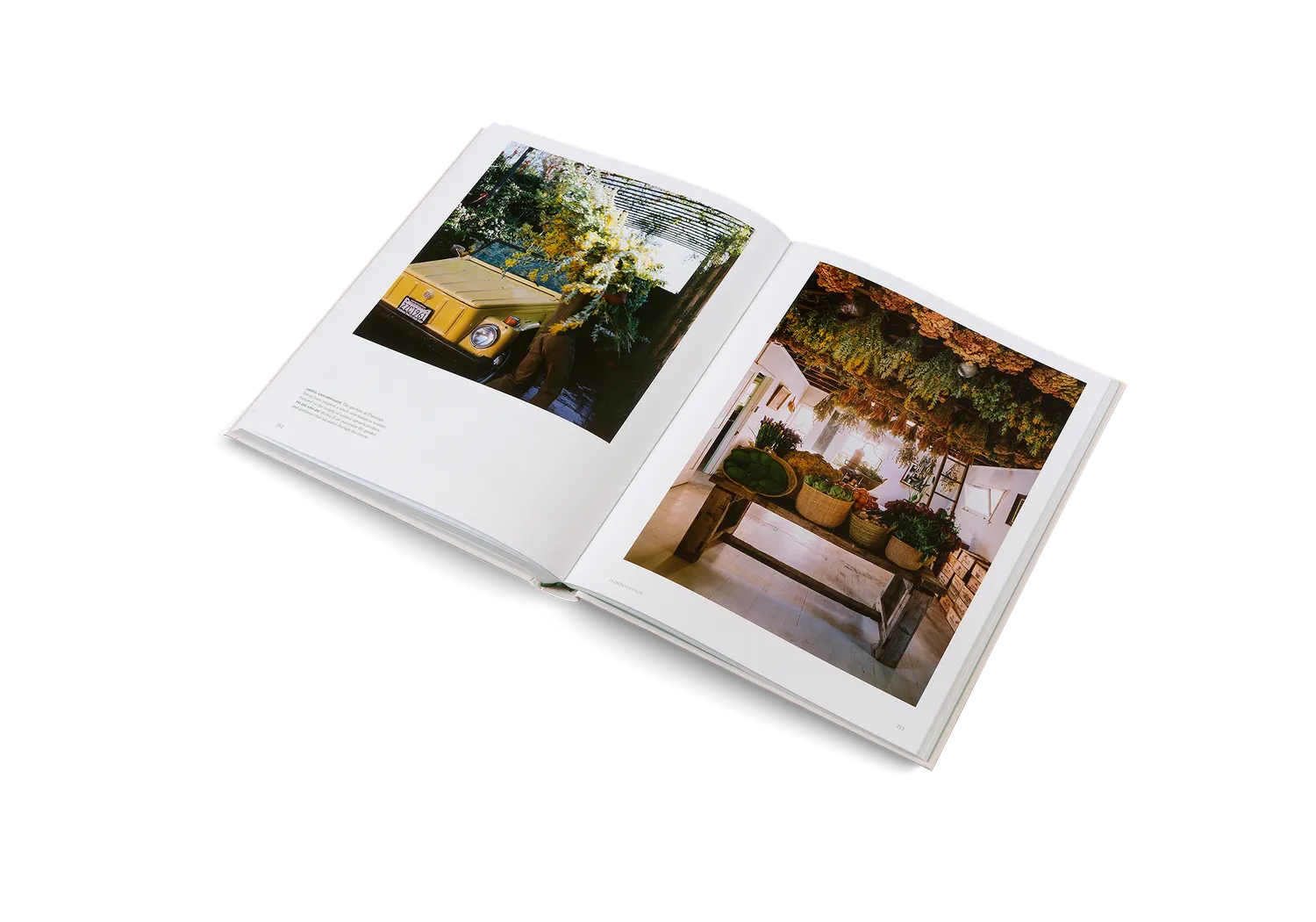 Gestalten The Avant Gardens Bildband englische Ausgabe Gärten