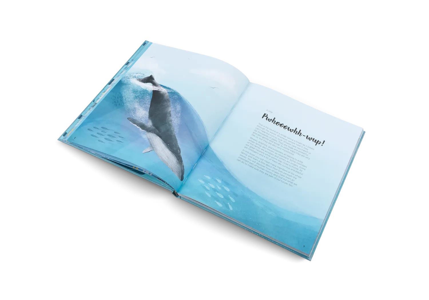 Gestalten The World of Whales Kinderbuch Wale 5-7 Jahre