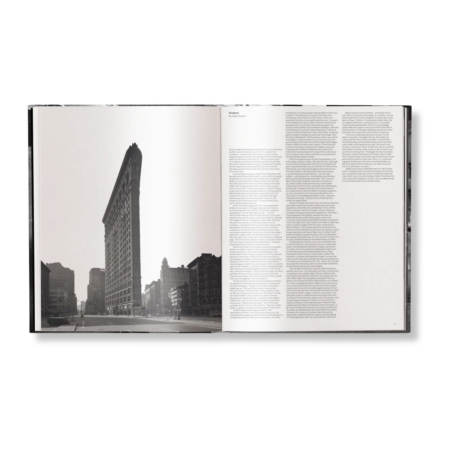 teNeues Elliott Erwitt's New York Bildband schwarz-weiß