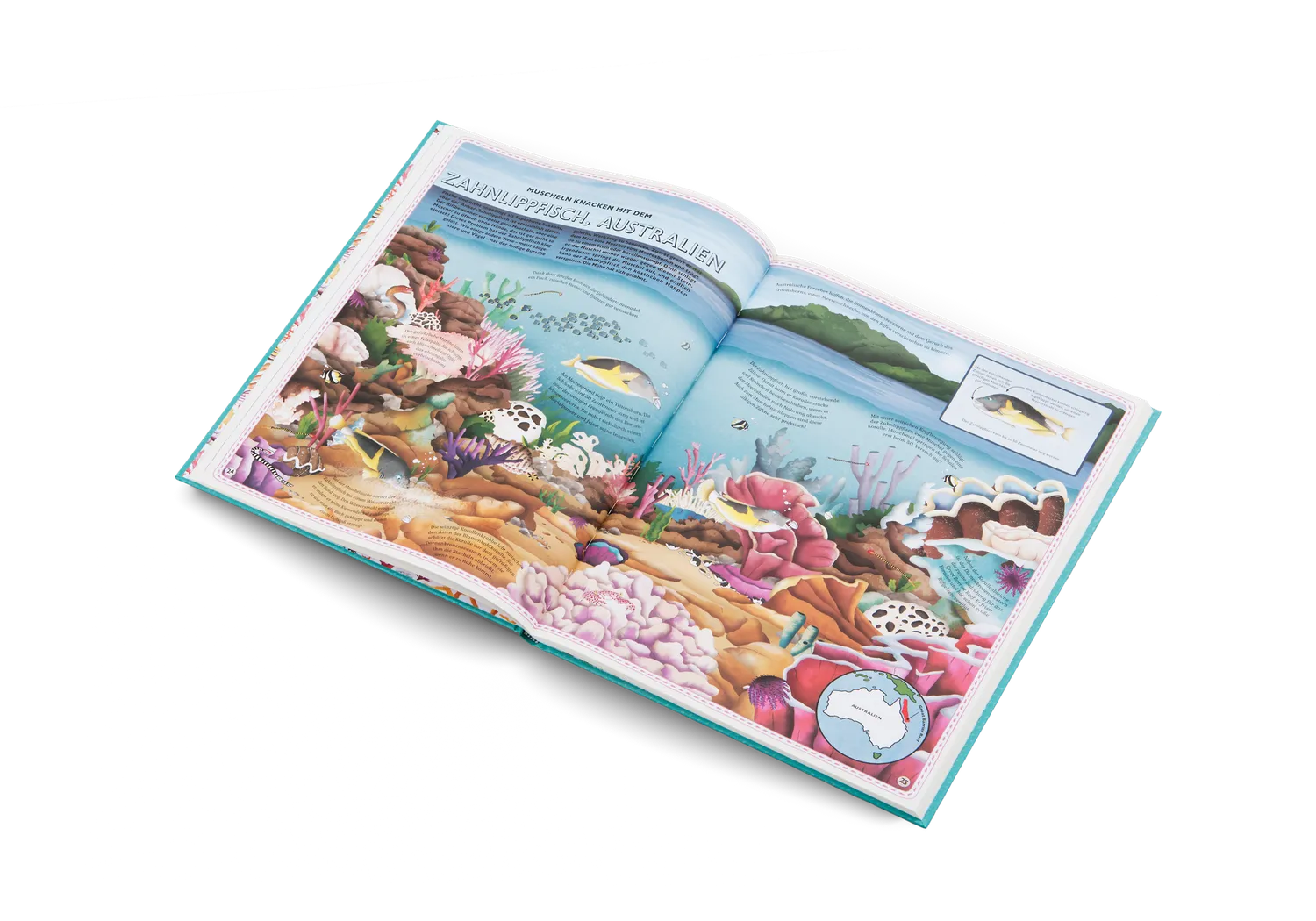 Little Gestalten Atlas Der Atlas der Ozeane Kinderbuch 7-9 Jahre
