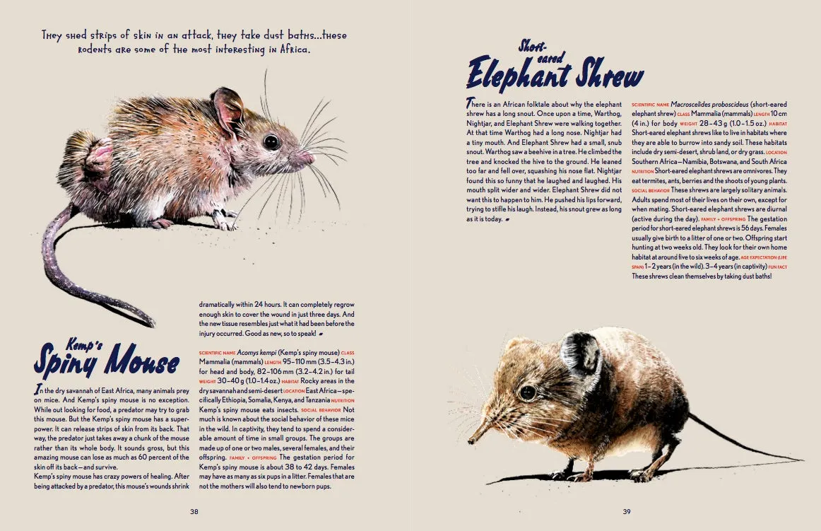 Gestalten Little Gestalten Animal Allstars Kinderbuch ab 5 Jahre