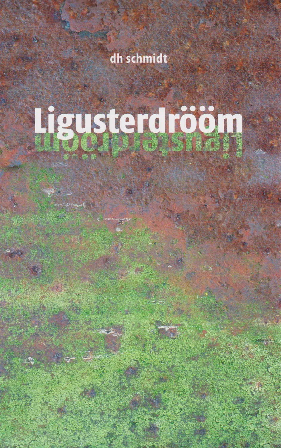 Isensee Niederdt. Literatur Ligusterdrööm Buch Plattdeutsch