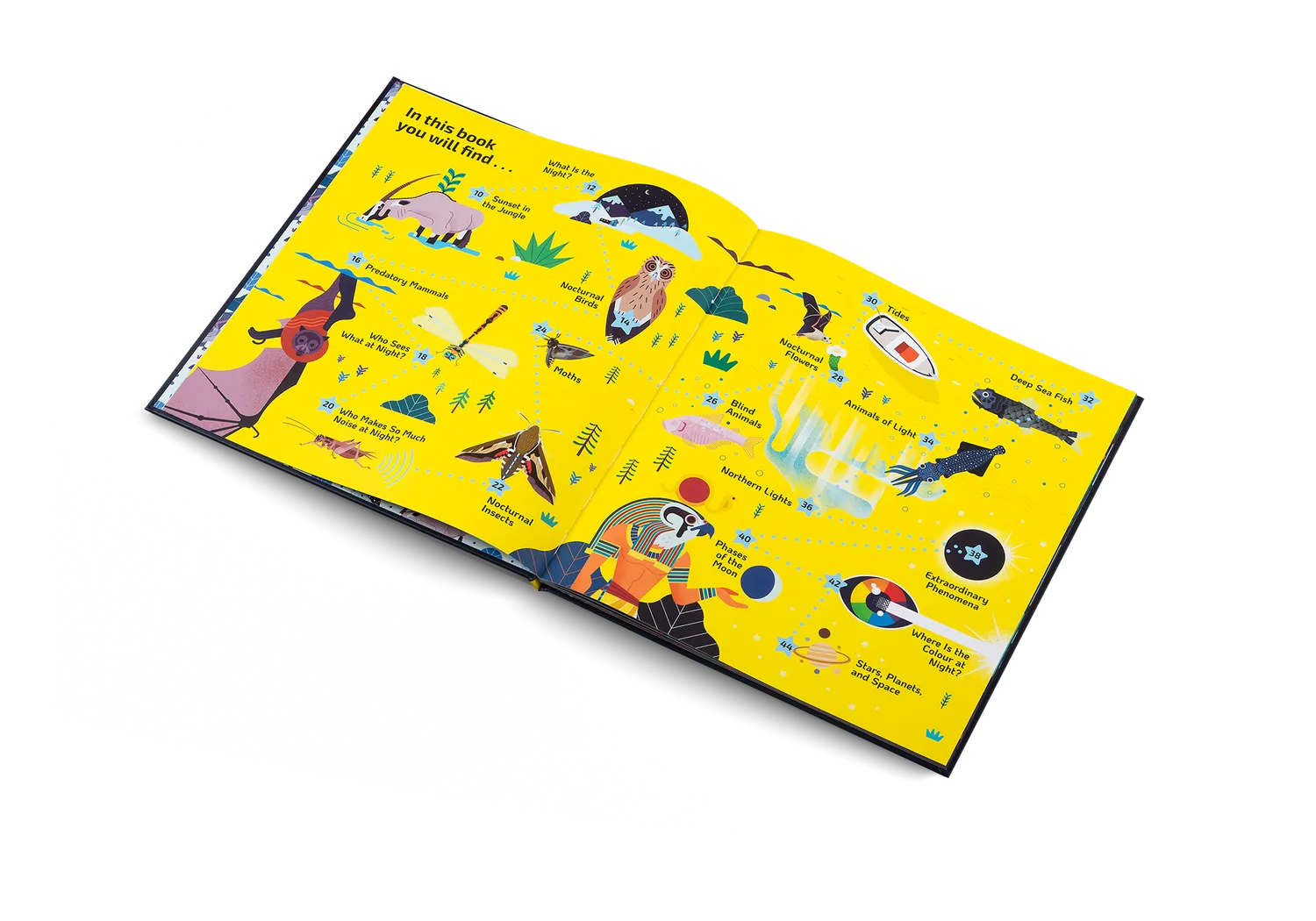 Kleine Gestalten Nocturnal Kinderbuch Nacht Tiere gebunden