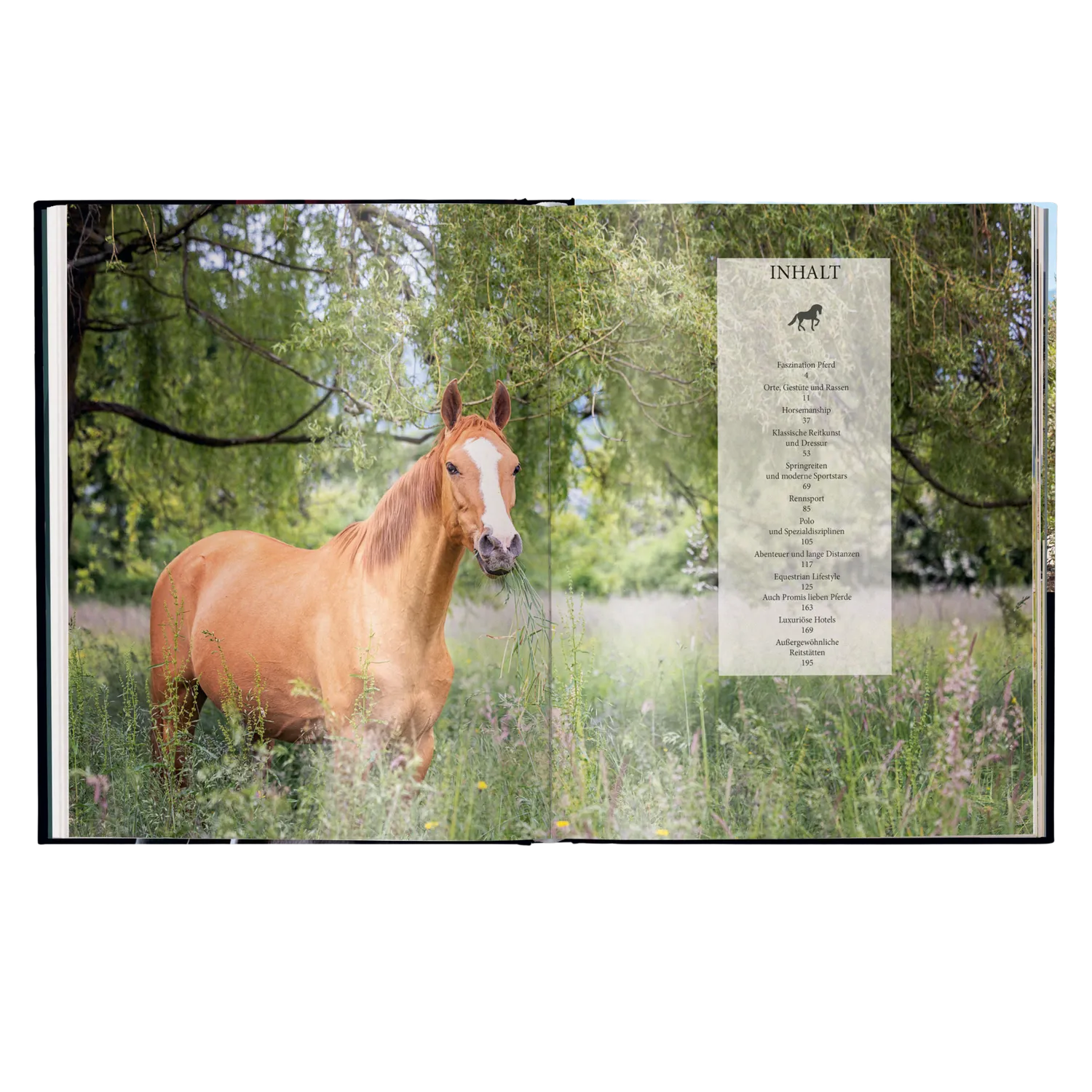 gestalten Reiten Das ultimative Buch Bildband gebunden Luxus
