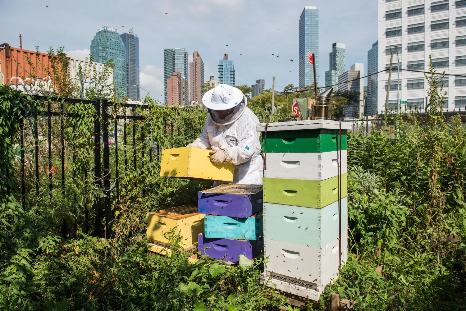 Gestalten Stadt Gärten Bildband Urban Farming Garten