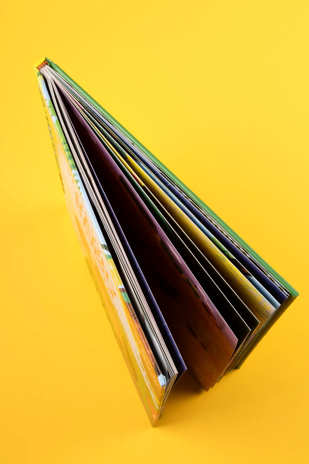 Seemann Henschel Detektiv Danny Dodo Kinderbuch Arten