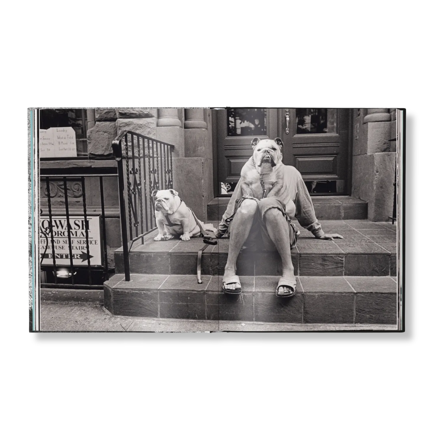 teNeues Elliott Erwitt's Last Laughs Fotobuch schwarz-weiß