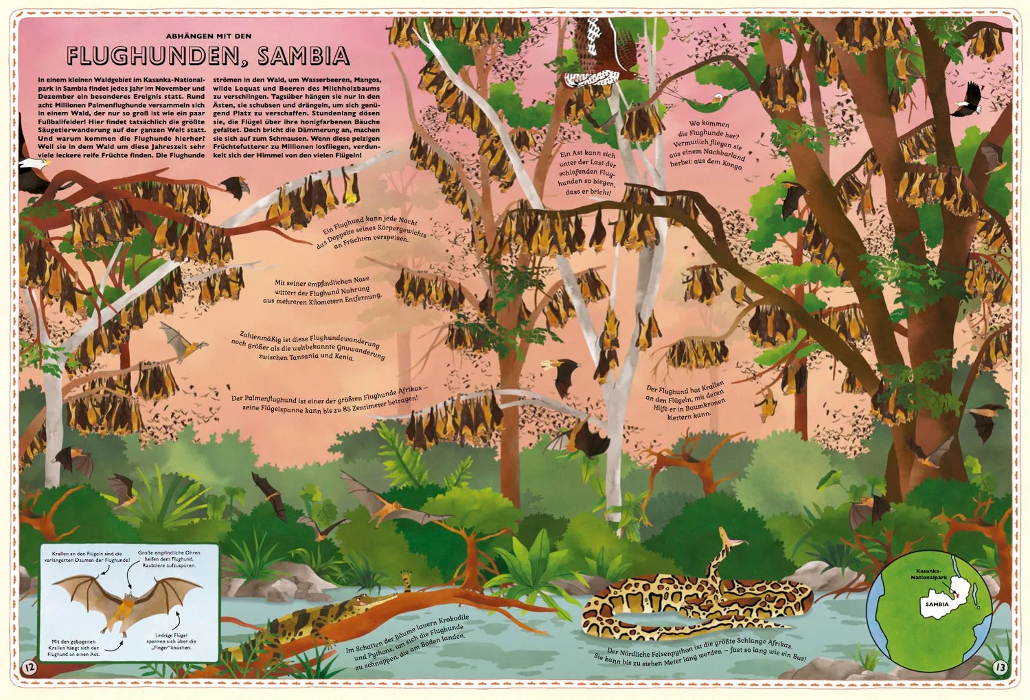 Little Gestalten Der große Atlas der Tiere Sachbuch Kinder