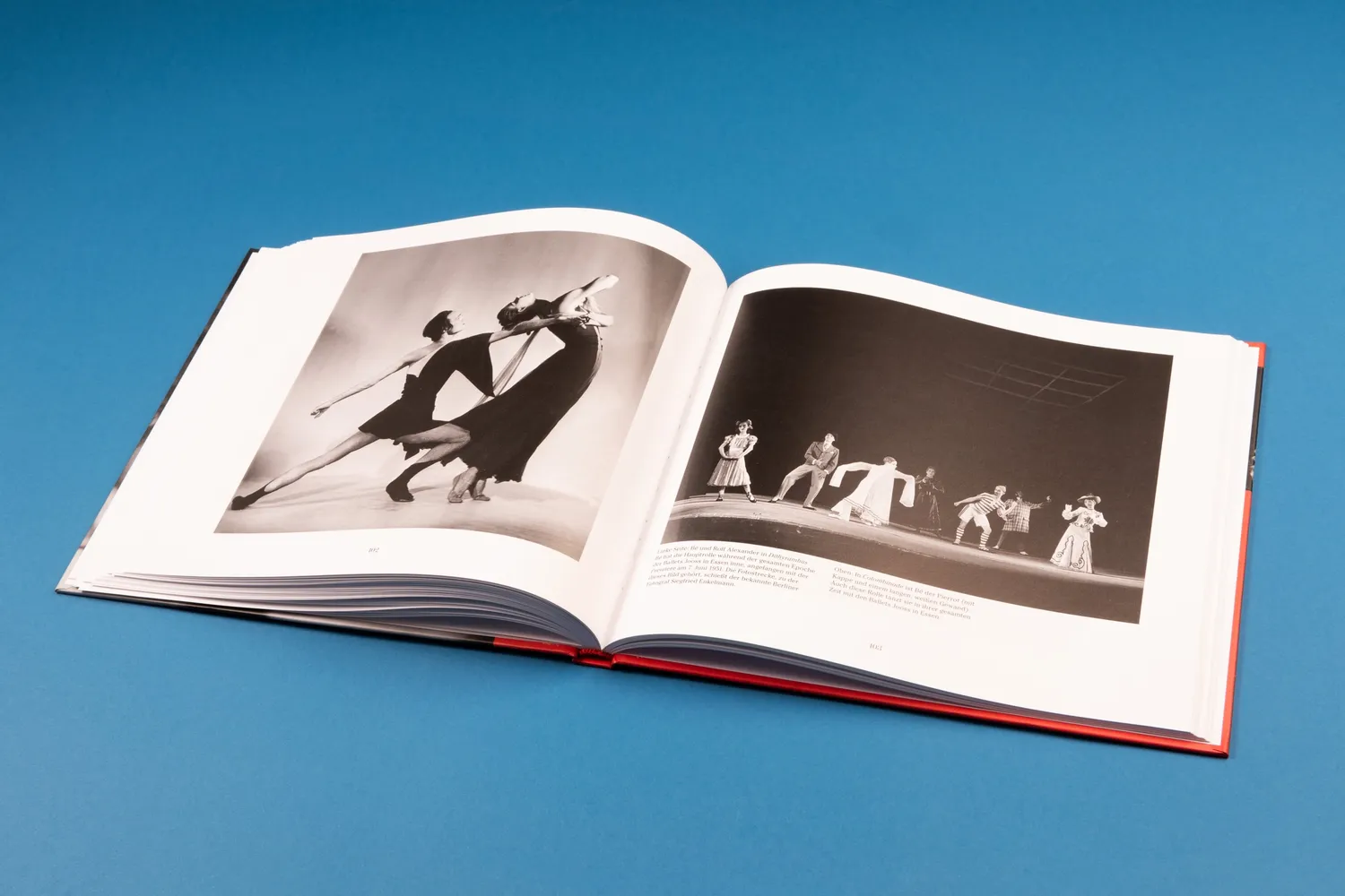 Seemann Henschel Das Tanzen bleibt Buch Ballett Jooss