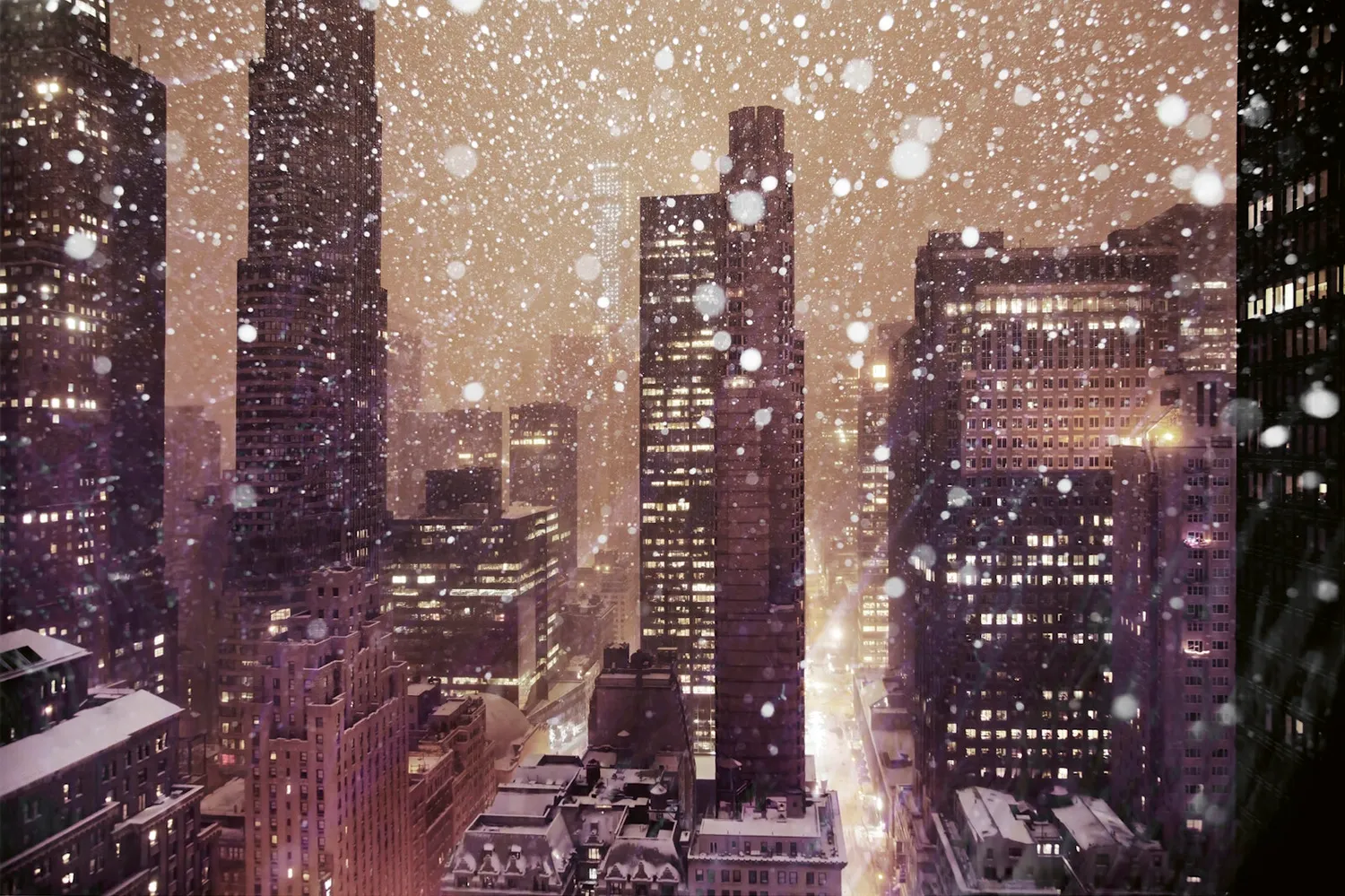 Gestalten Winterland Bildband gebunden – Schneefotografie