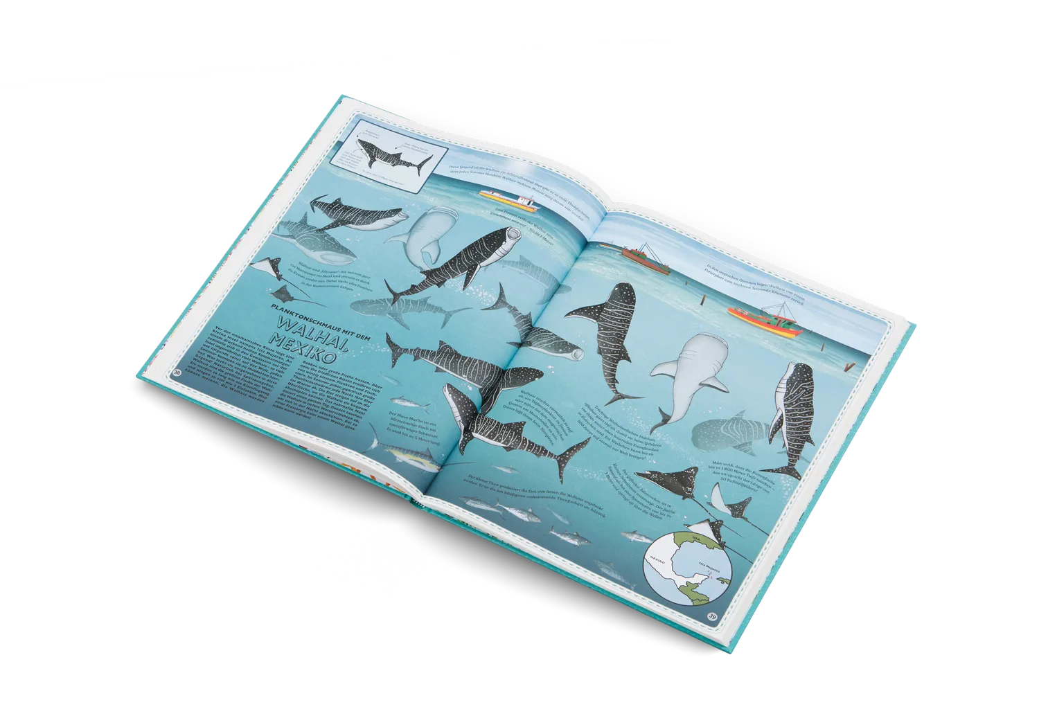 Little Gestalten Atlas Der Atlas der Ozeane Kinderbuch 7-9 Jahre