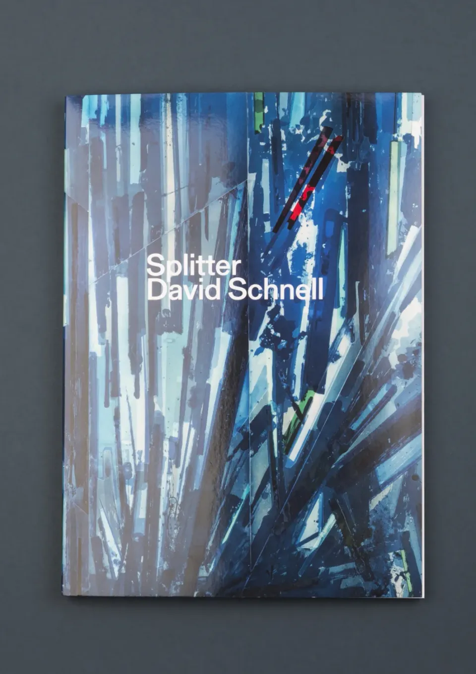 Seemann Henschel Splitter David Schnell Bildband zweisprachig