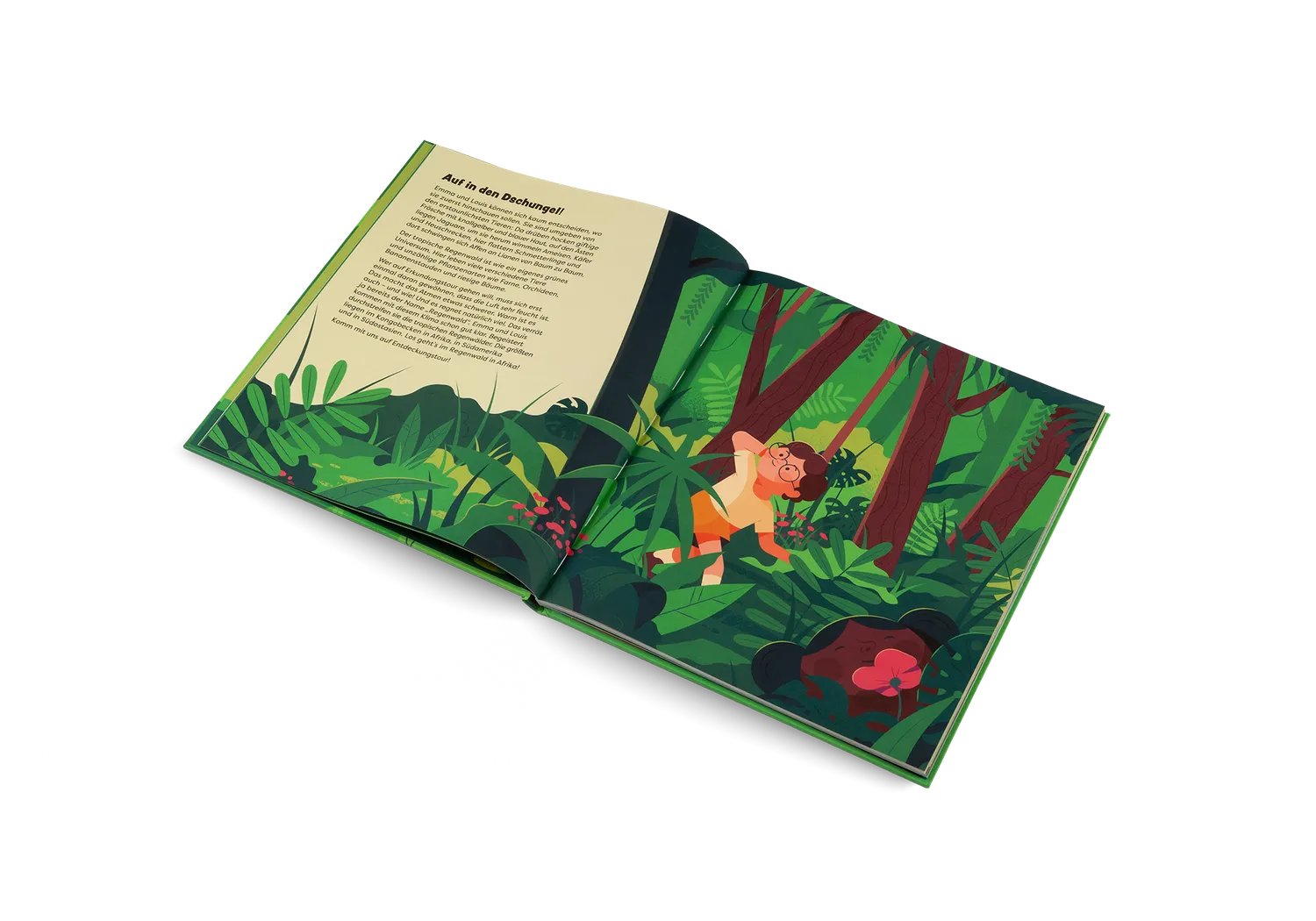 Kleine Gestalten Entdecke den Regenwald Sachbuch 7-11 Jahre