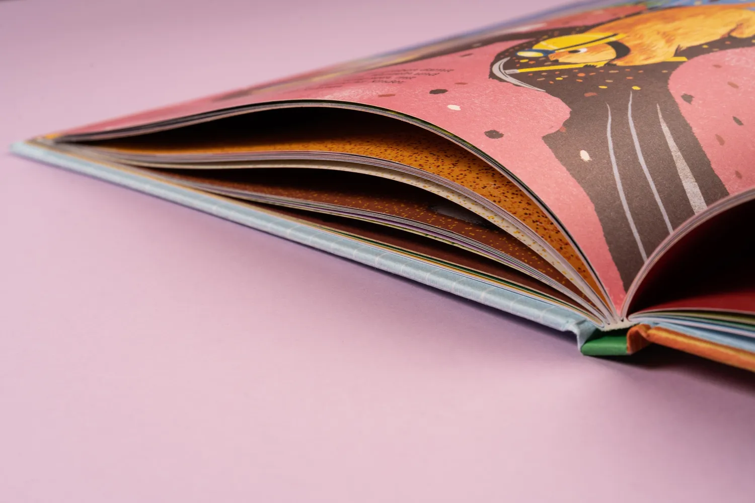 Seemann Henschel Von Ameise bis Wombat Kindersachbuch Tierbauten