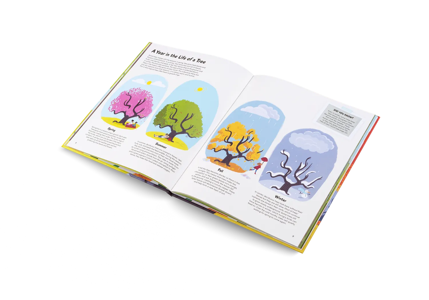 Gestalten The Little Book of Trees Kinderbuch Bäume