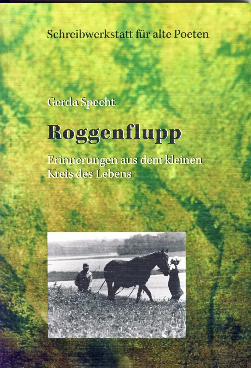 Isensee Literatur Roggenflupp Buch