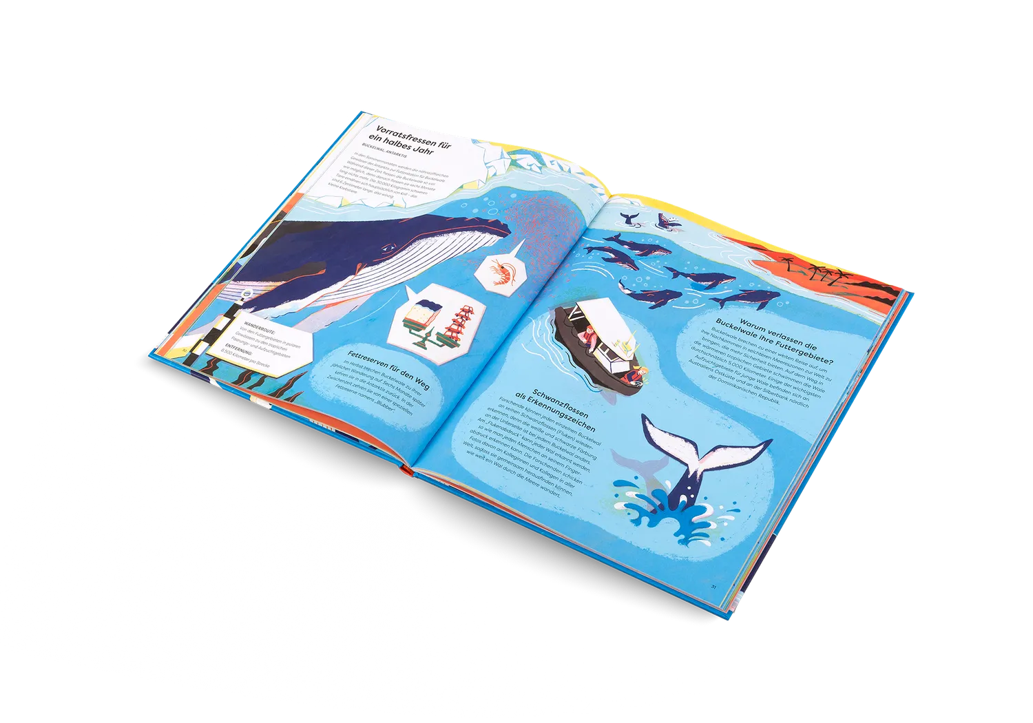 Kleine Gestalten Immer unterwegs Kinderbuch Tierwanderung