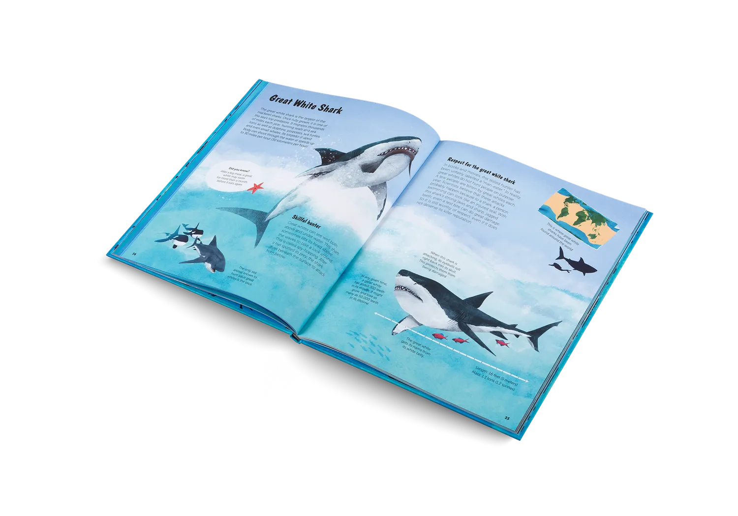 Gestalten The World of Sharks Kinderbuch Haie