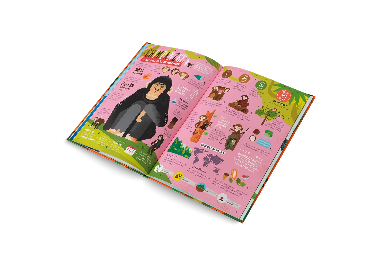 gestalten Die Jäger des Tierreichs Kinderbuch gebunden