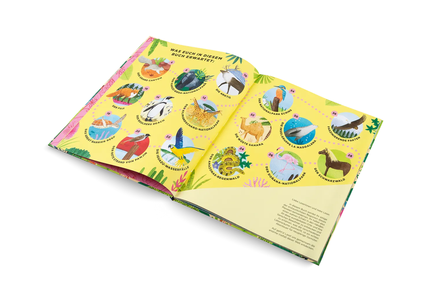 Kleine Gestalten Wo die wilden Tiere leben Kinderbuch