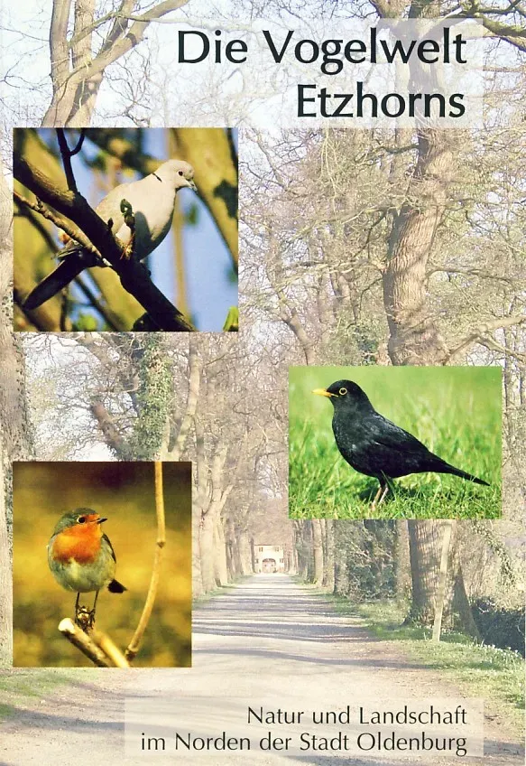 Isensee Verlag Die Vogelwelt Etzhorns Sachbuch Oldenburg