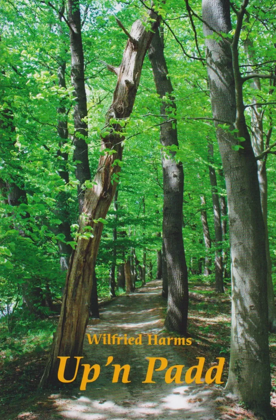 Isensee Literatur Up'n Padd Wilfried Harms Buch plattdeutsch