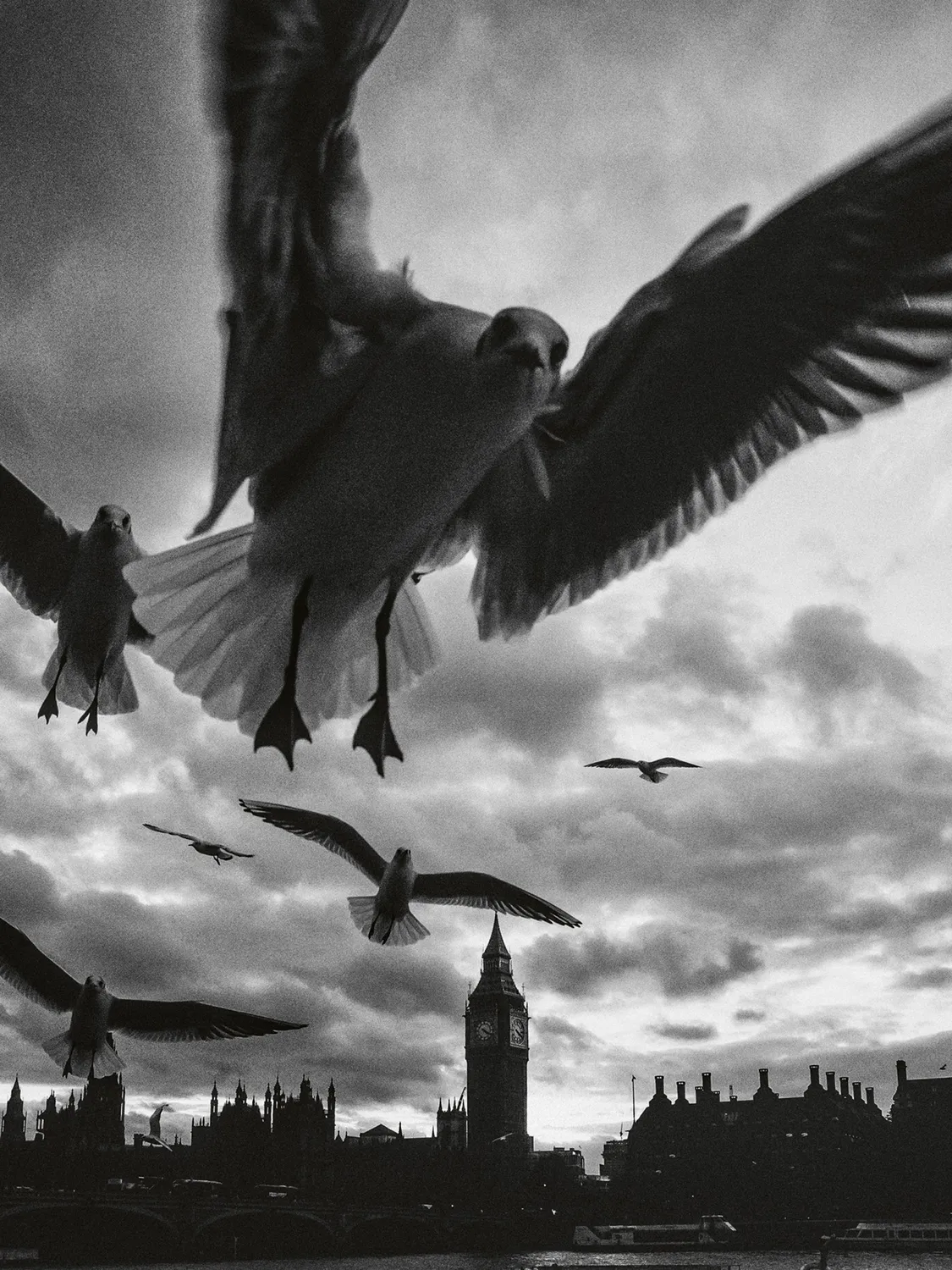 teNeues London in Frames Bildband Stadt