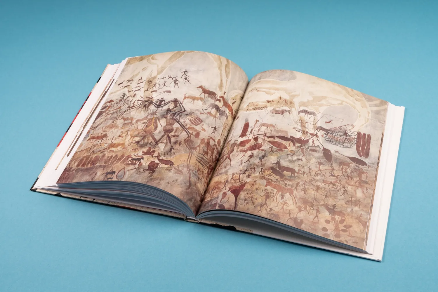 Seemann Henschel Urknall der Kunst Bildband Felsbilder