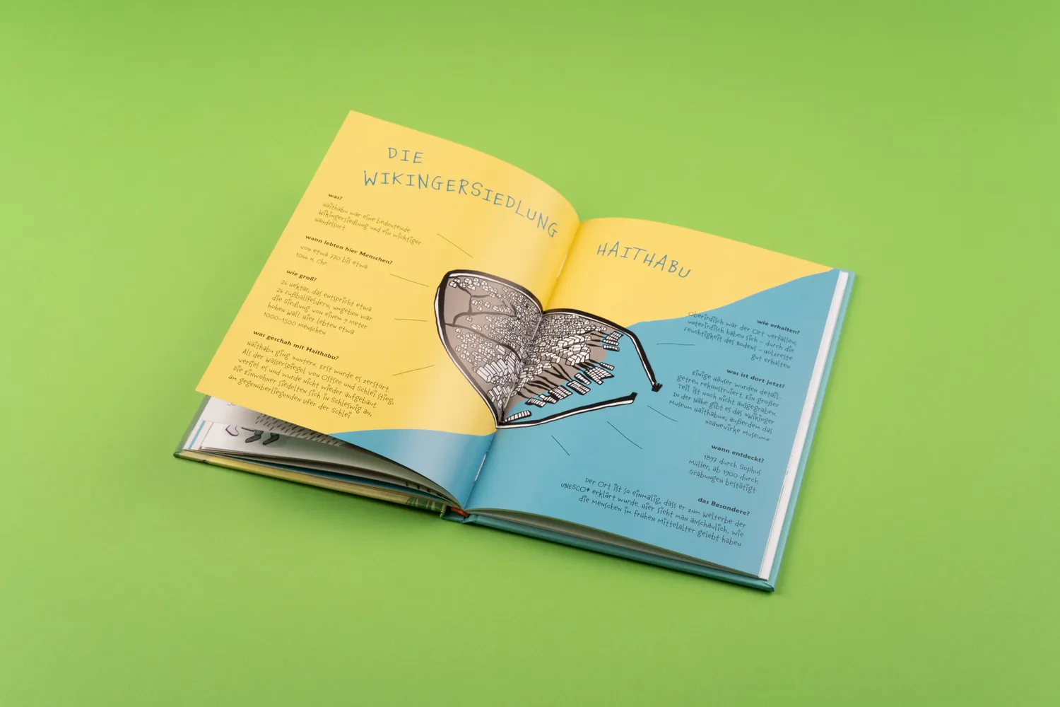Seemann Henschel Wilde Wikinger in Sicht Kinderbuch Haithabu