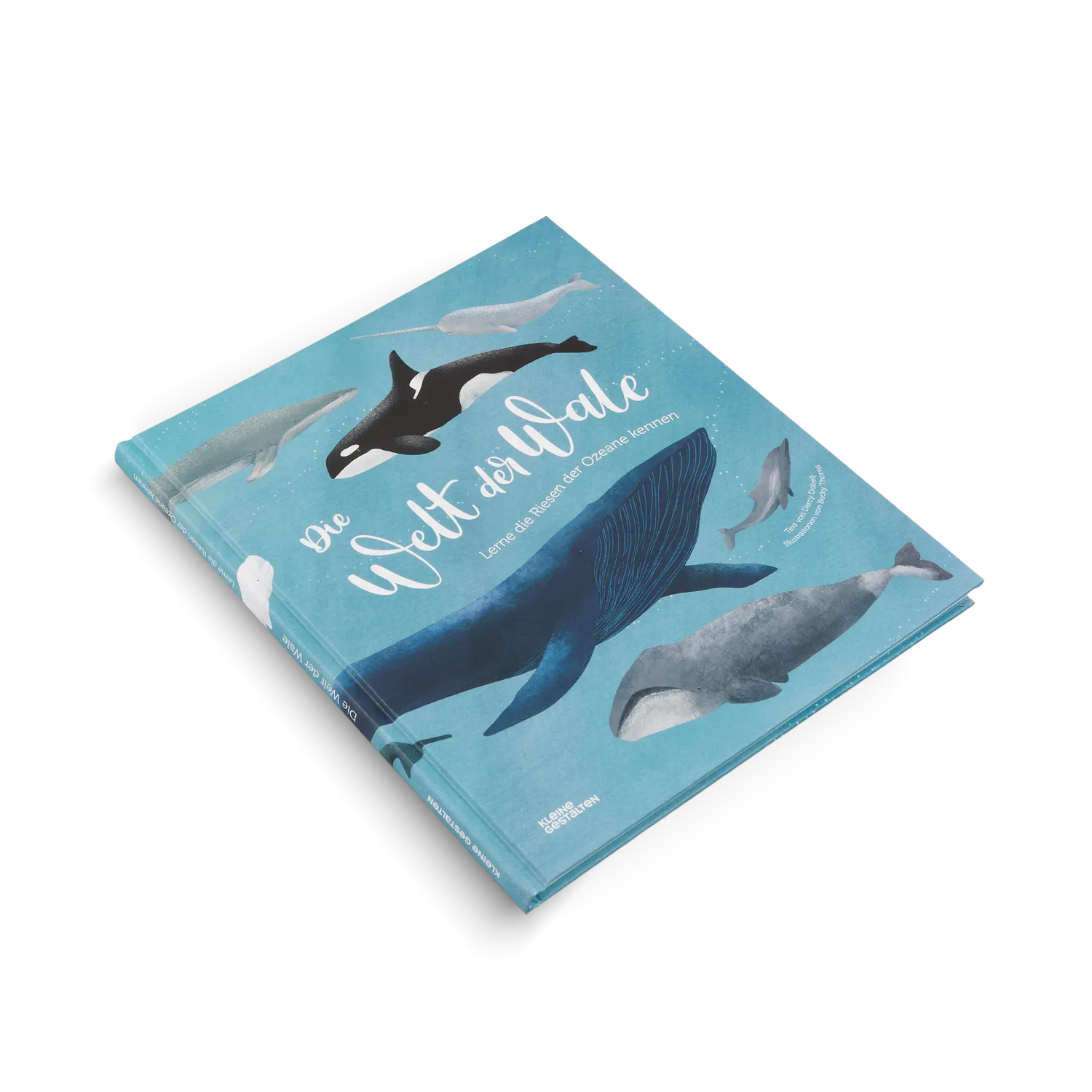 Little Gestalten Die Welt der Wale Sachbuch 5-7 Jahre