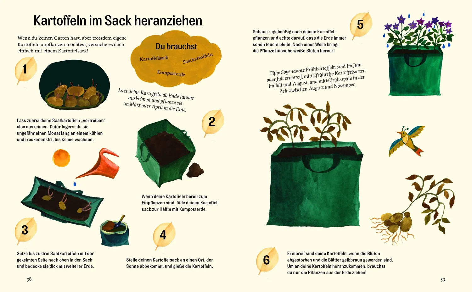 Kleine Gestalten Kleine grüne Daumen Kinderbuch Garten