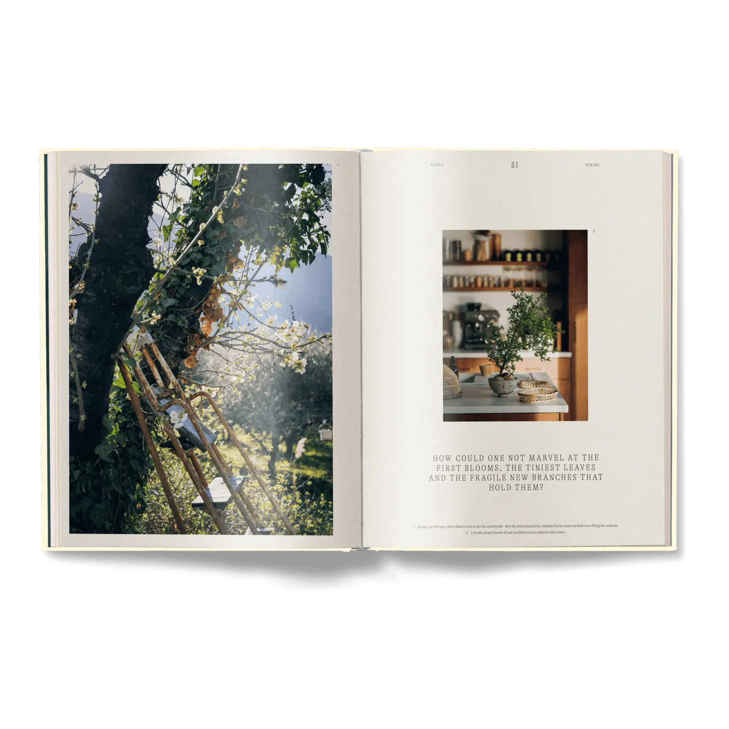 Gestalten A Spoonful of Sun Kochbuch Mittelmeer vegetarisch