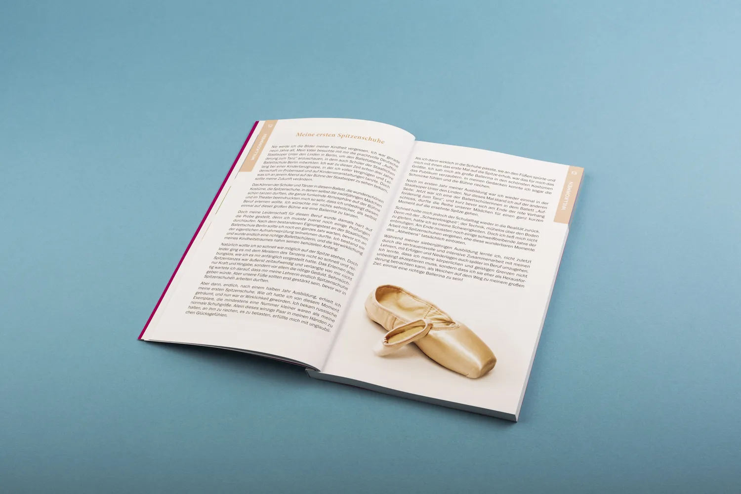 Seemann Henschel Der passende Spitzenschuh Buch Spitzentanz