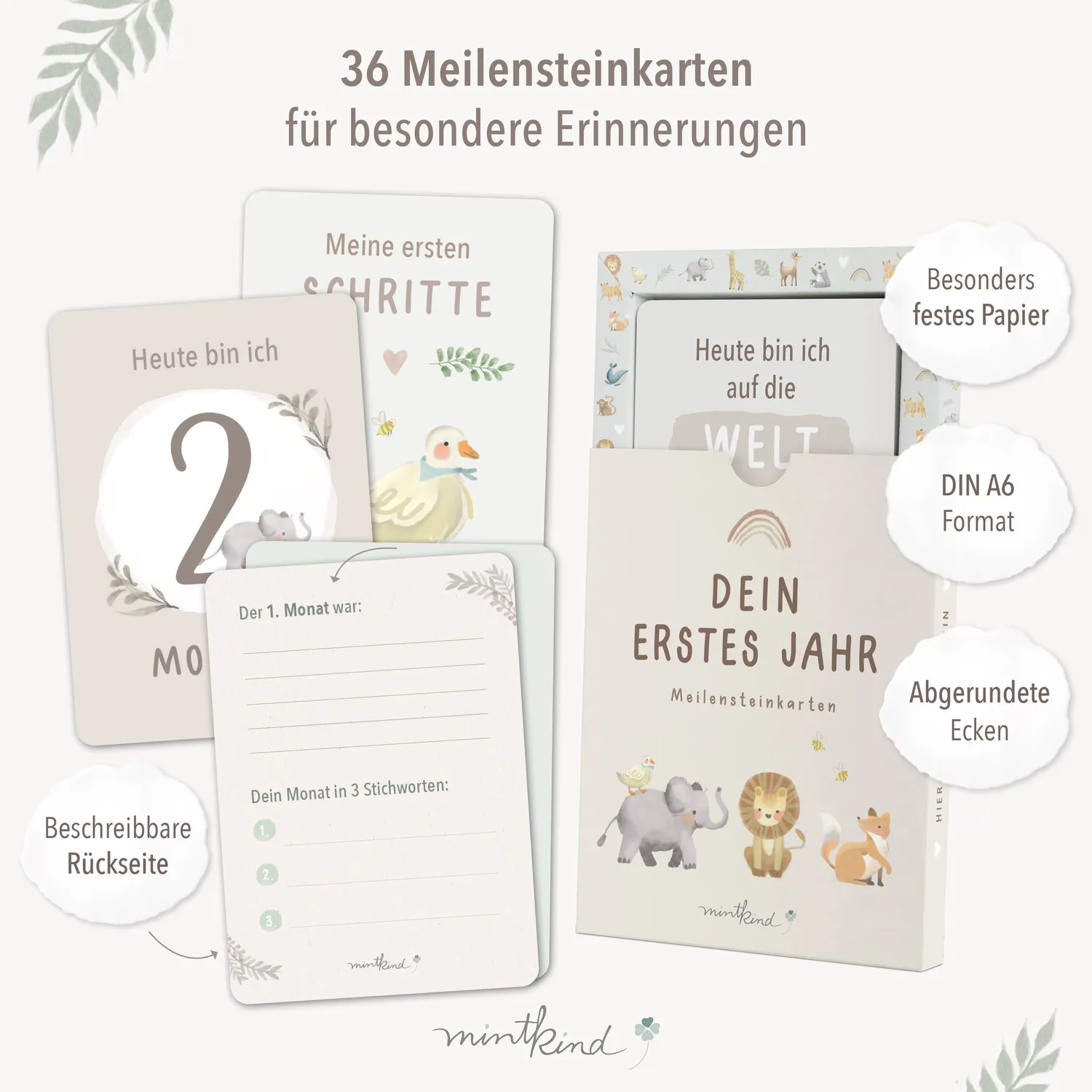MINTKIND Meilensteinkarten Baby erstes Jahr 32 Karten