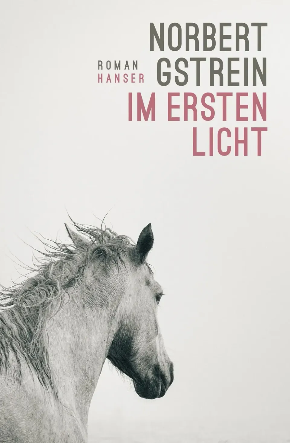 Isensee Literatur Im ersten Licht Roman gebunden