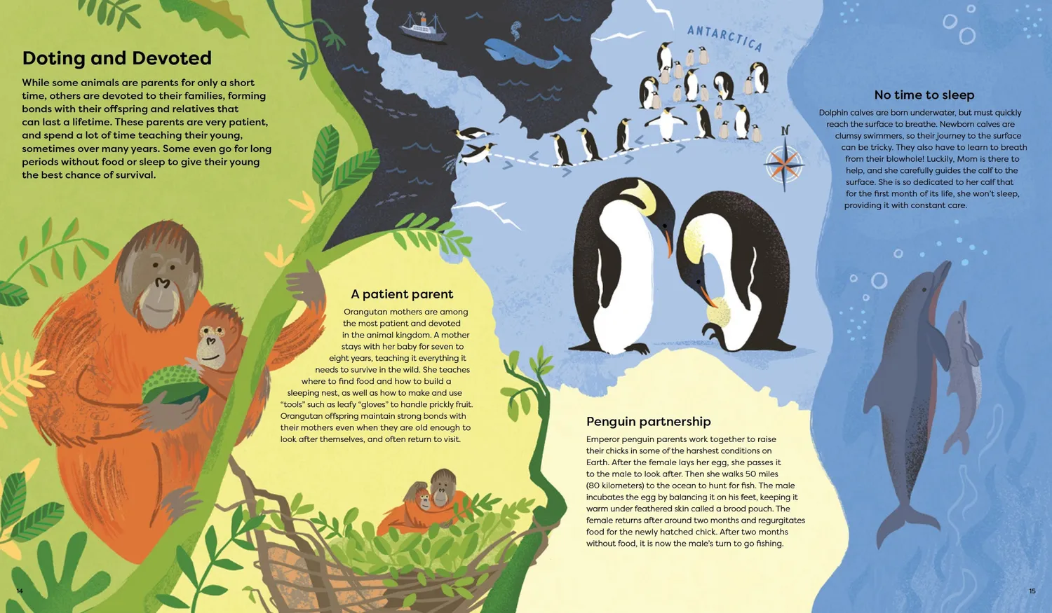 Little Gestalten Home Is Where the Herd Is Kinderbuch Tiere