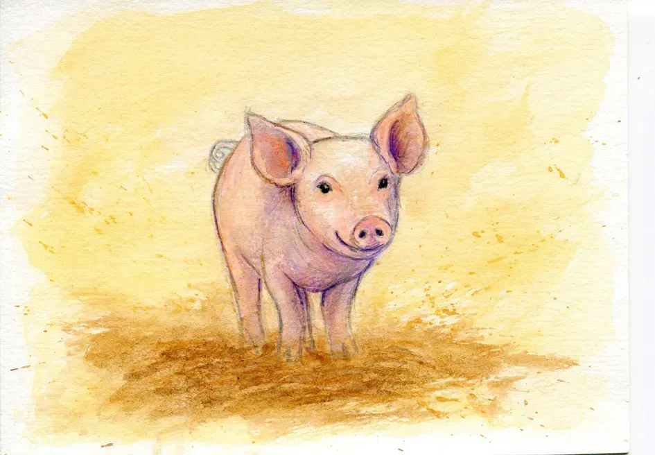 Isensee Literatur Vom kleinen Schwein, das sich nicht schmutzig machen will Bilderbuch