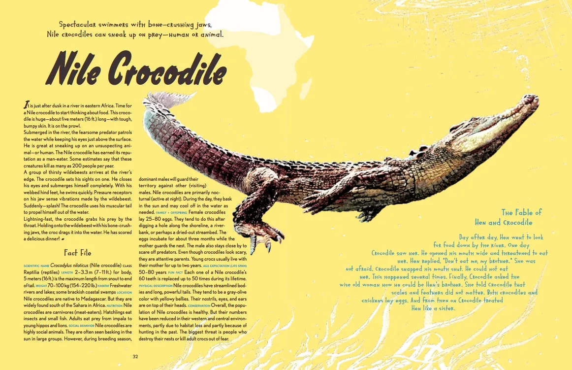Gestalten Little Gestalten Animal Allstars Kinderbuch ab 5 Jahre