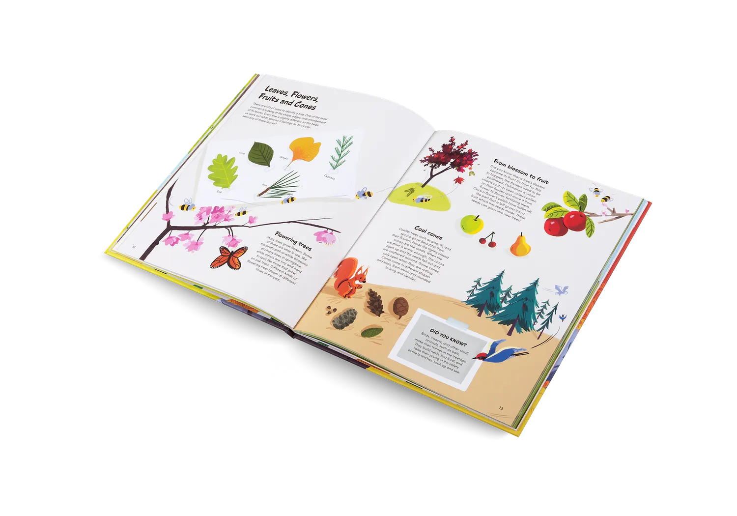 Gestalten The Little Book of Trees Kinderbuch Bäume