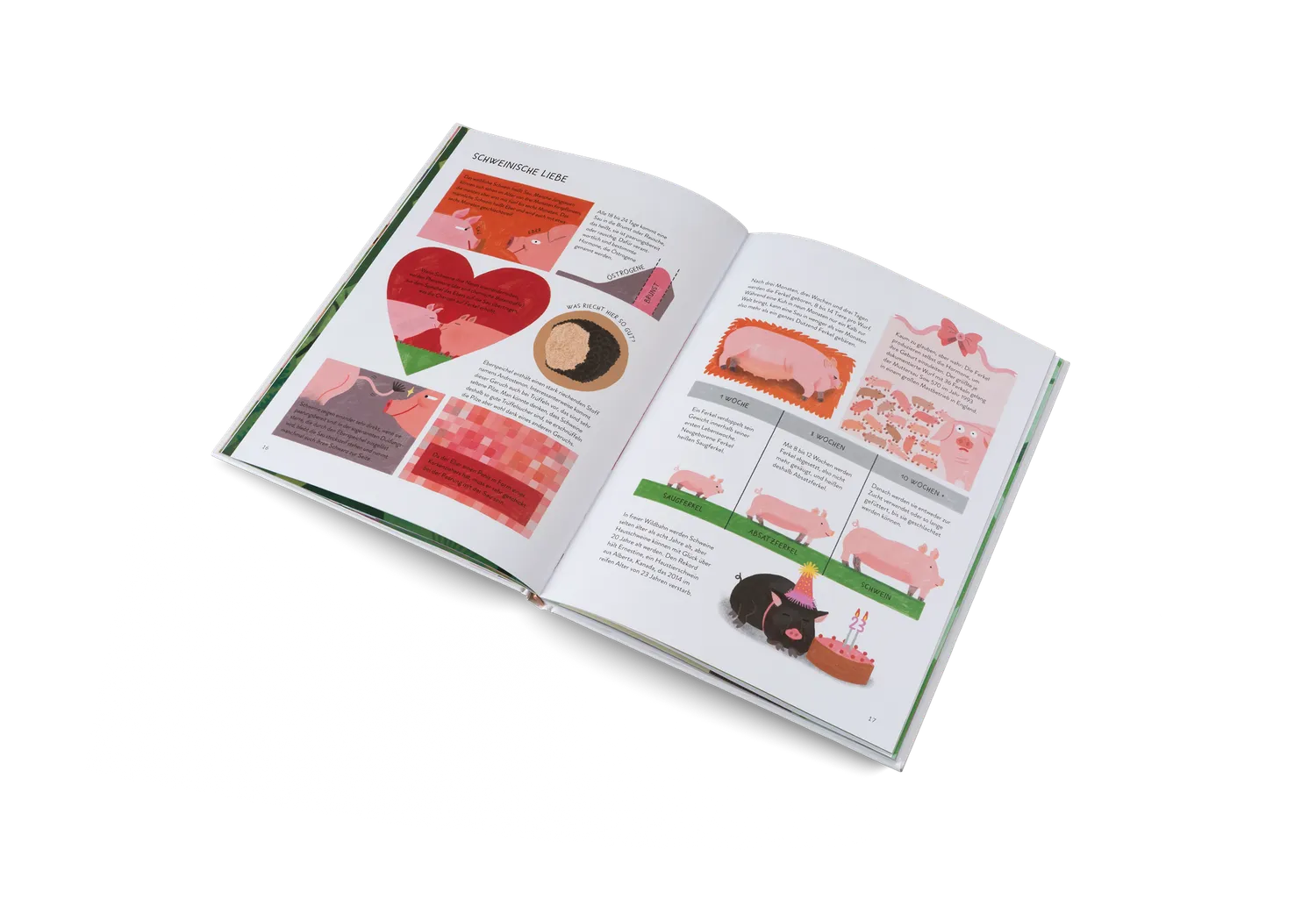Kleine Gestalten Schwein gehabt Kinderbuch Schweine