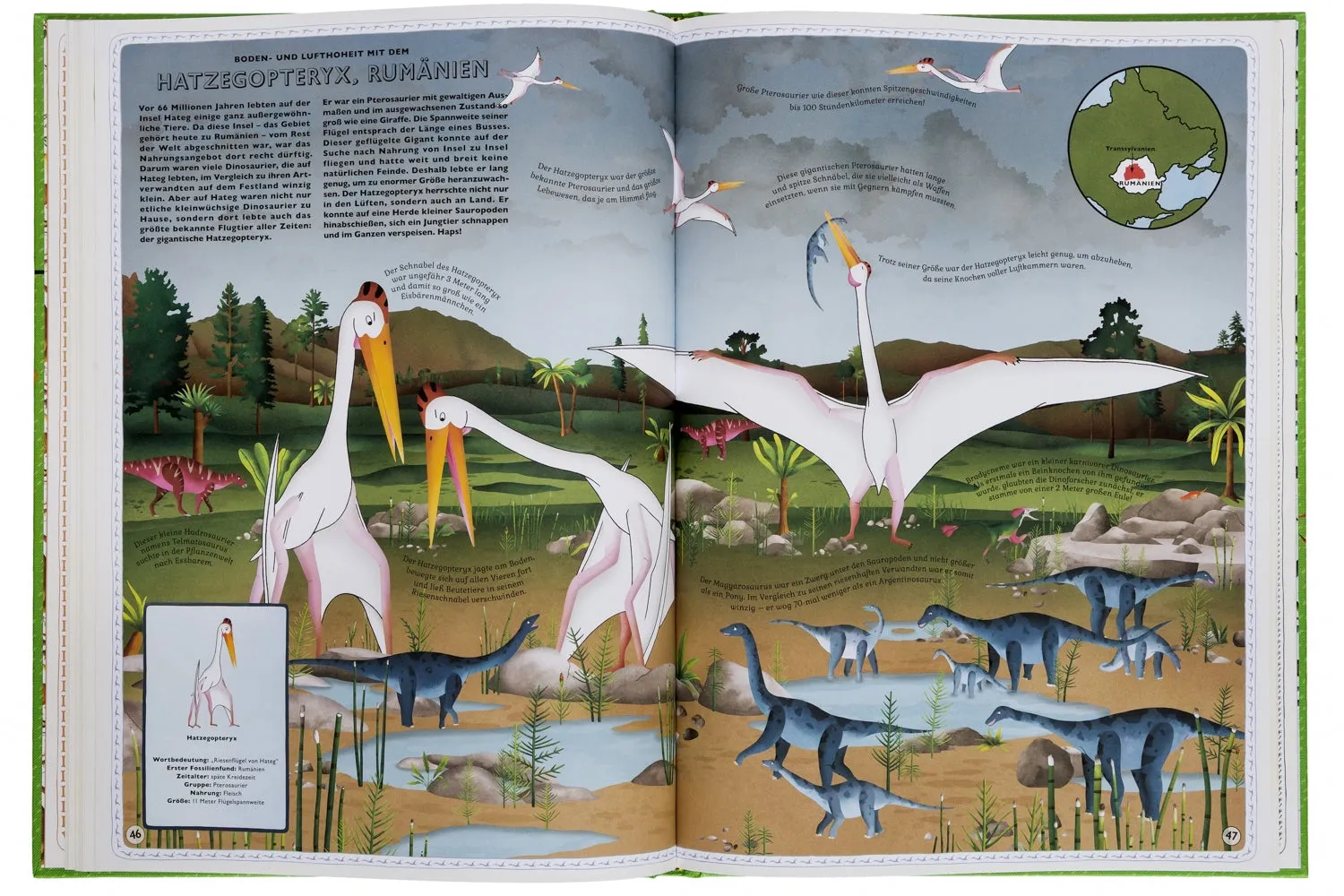 Gestalten Der Atlas der Dinosaurier Wimmelbuch 5-9 Jahre