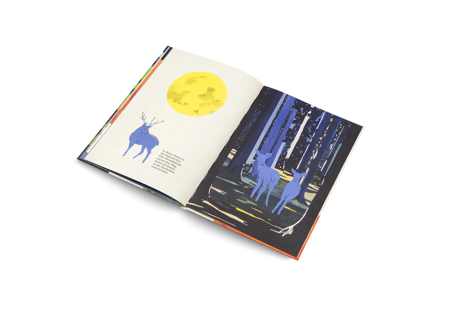Kleine Gestalten Der wundersame Weg Bilderbuch Natur