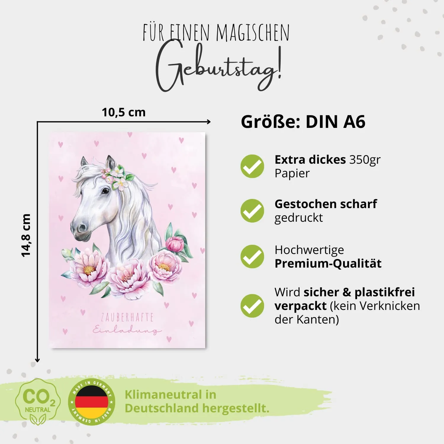 MeinBaby123 Pferd Einladungskarten Kindergeburtstag 10er Set mit Umschlag
