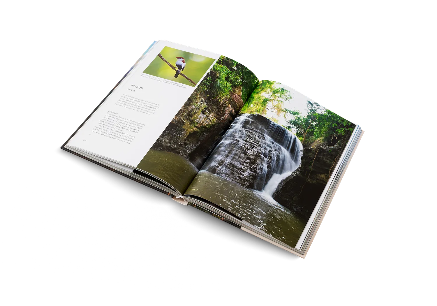 Gestalten Geoparks UNESCO Bildband Natur Outdoor
