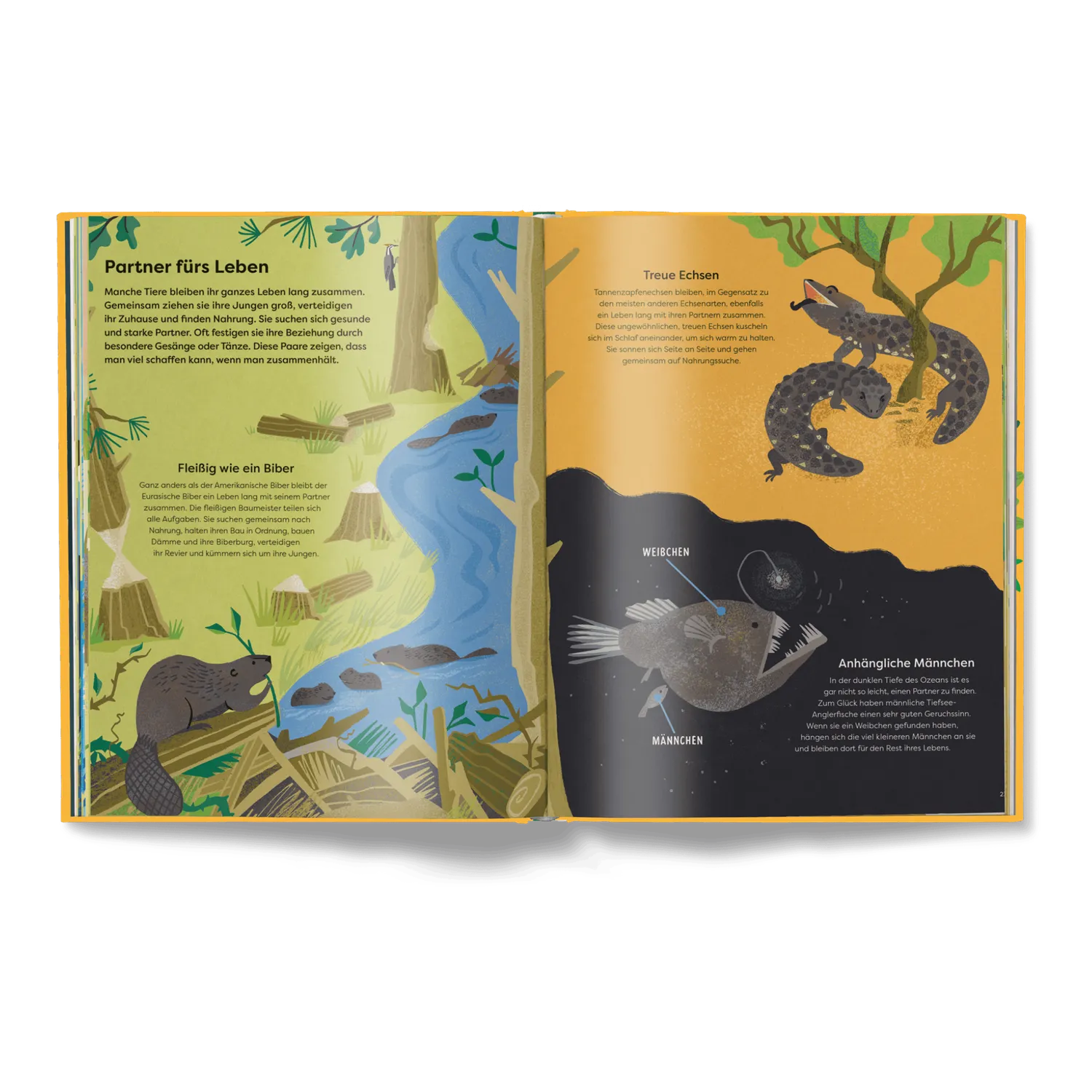 Kleine Gestalten Wildes Zusammenleben Kinderbuch Tierfamilien