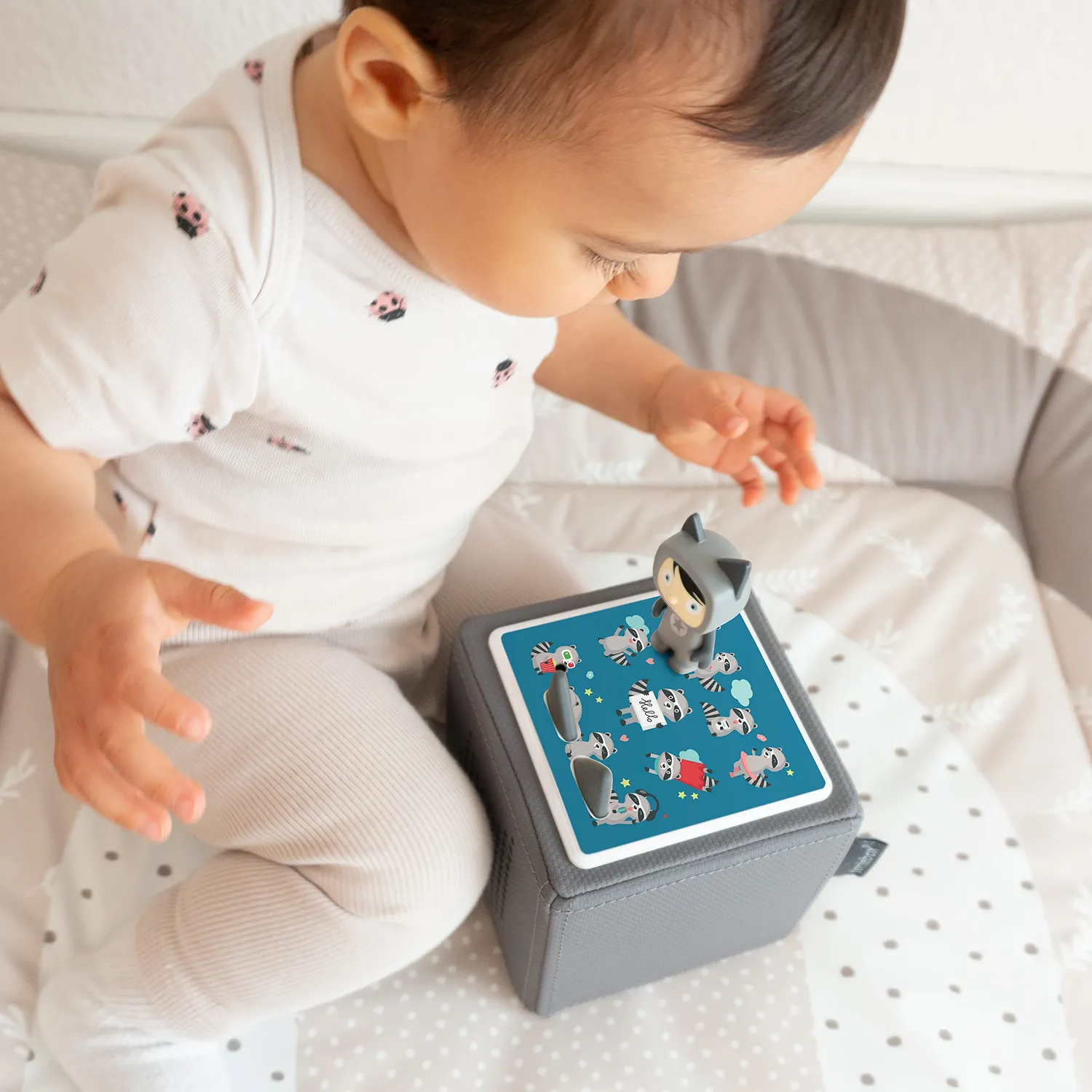 MeinBaby123 Waschbären Toniebox Schutzfolie Blau Sticker