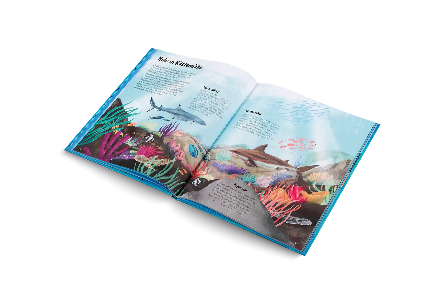 Kleine Gestalten Die Welt der Haie Kinderbuch Deutsch 5-7