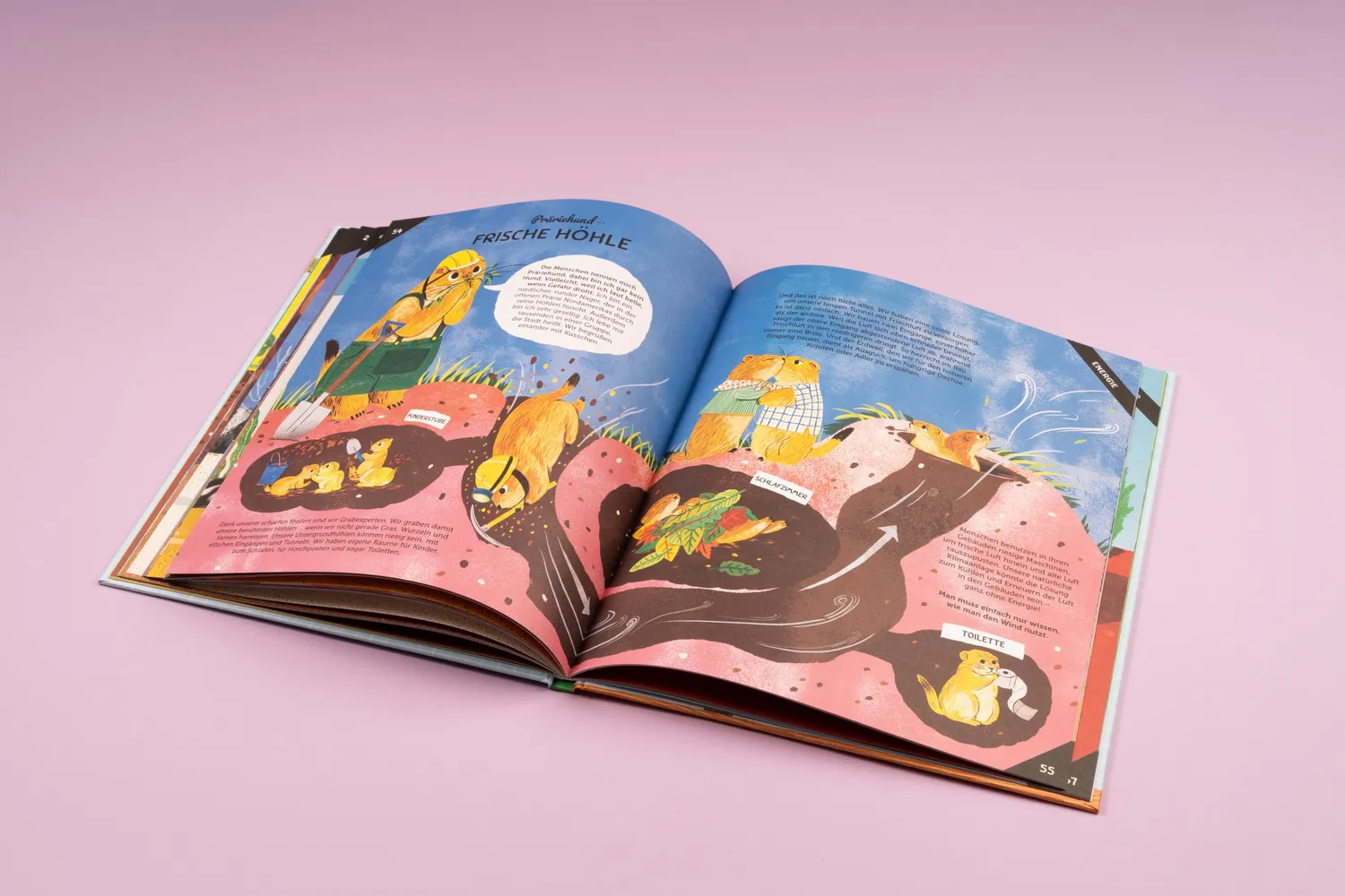 Seemann Henschel Von Ameise bis Wombat Kindersachbuch Tierbauten