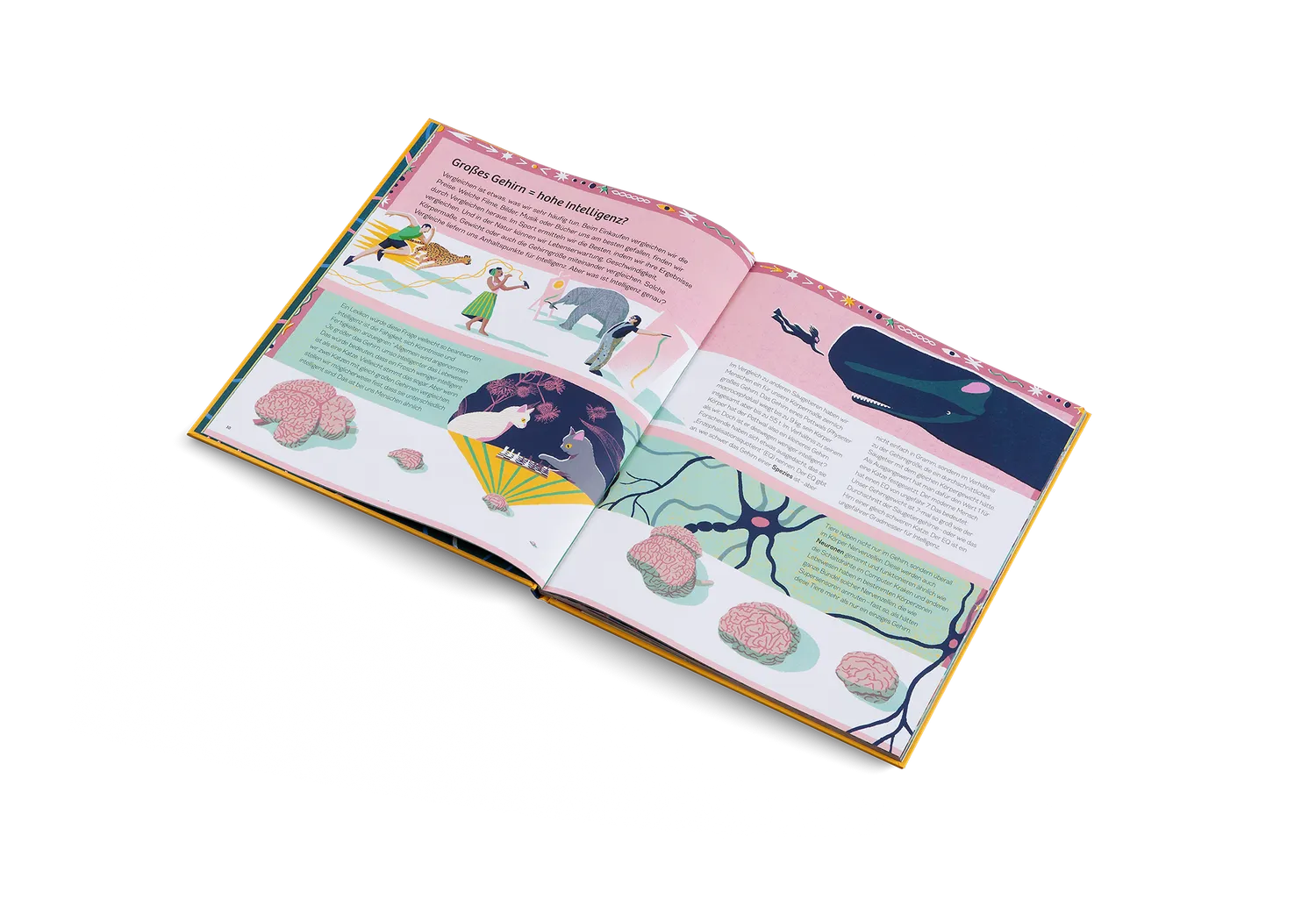 Kleine Gestalten Ganz schön schlaue Tiere Kinderbuch ab 5 Jahren