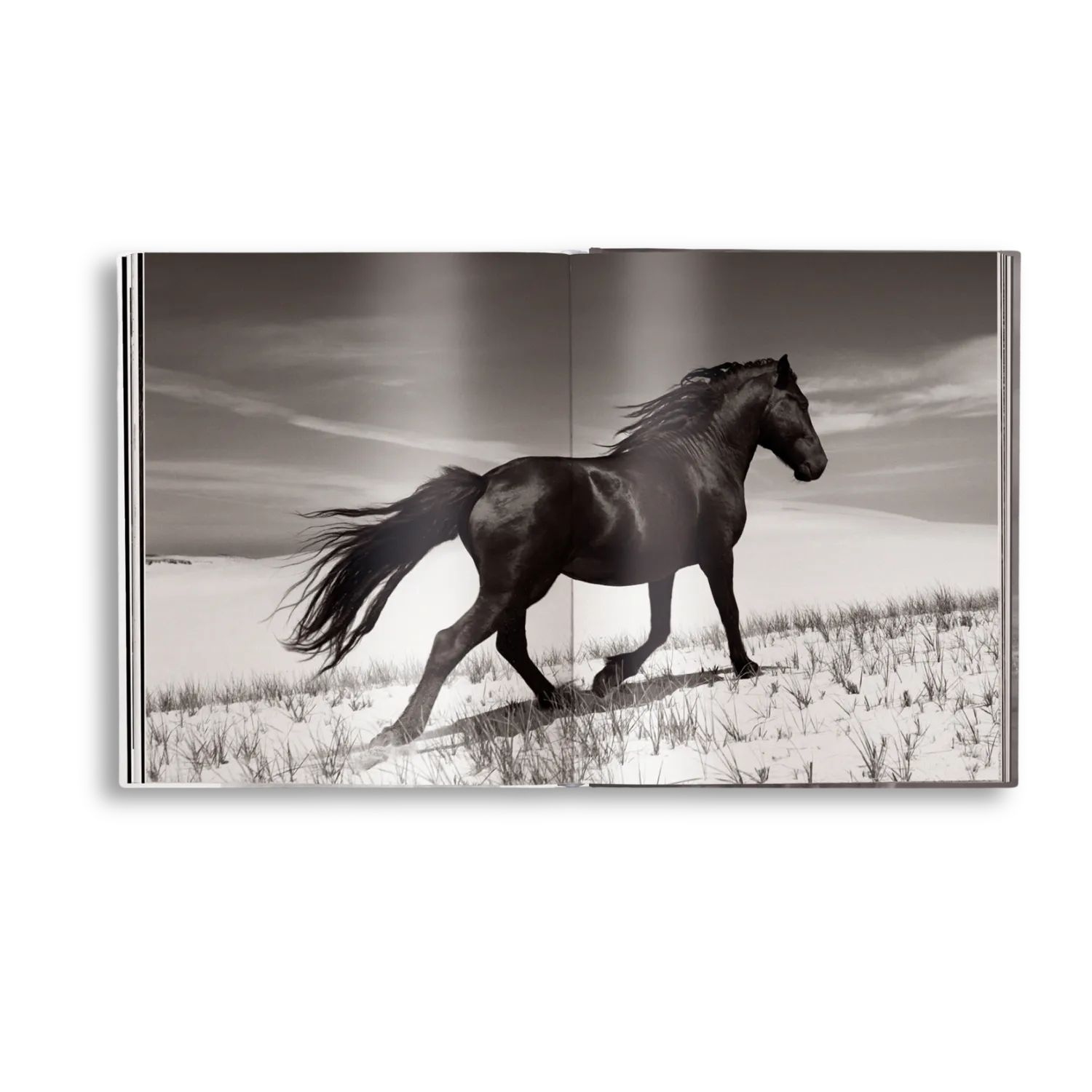 teNeues Untamed Spirits Bildband Pferde Wildpferde